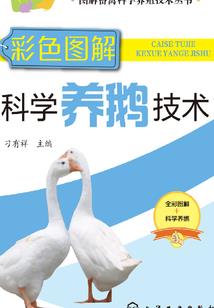 TFboys恋爱故事