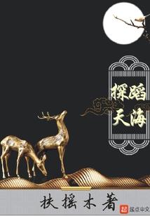 锦衣卫之华殇