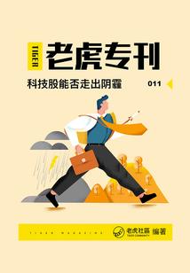 灰公主的蜕变
