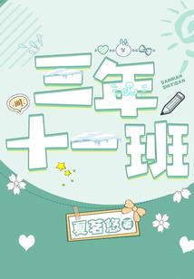似羽纷飞