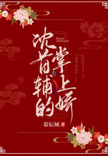我的同桌是学生会会长