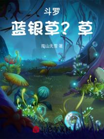 海贼王之元素至上