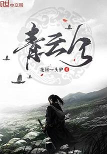 神探八点档