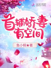 空洞骑士小骑士