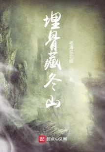 这就是我的系统