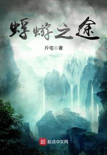 凤戏天下傻王的无情妃