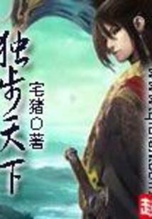 极品妖男穿越史