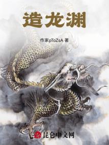石头传奇之入世