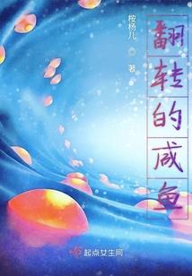 系统9527的摸鱼生活