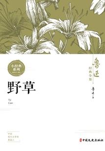 忆尘百恋