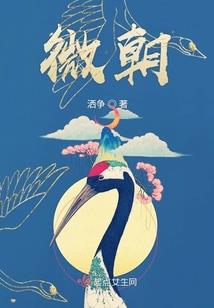 名门暖婚，腹黑总裁攻妻不备