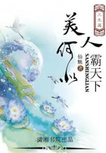 圣灵之契约召唤