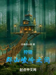 穿越之王的痞子王妃