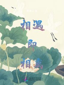 红尘若梦浮生门