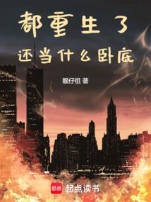 宠物小精灵之训练家阿神