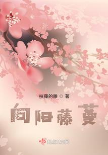 贴心的阮大少