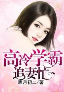 小叶子的追星计
