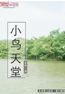 随身携带王者荣耀系统