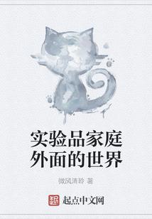 查理九世之近战法师