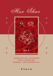 小不点冷妃