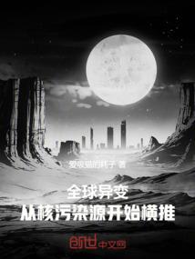 黑之翼.
