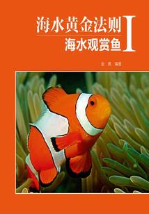 教主重生：抱歉我不爱你