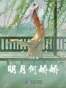 道武极限录