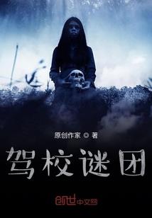 冷王的异世倾城妃