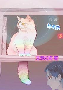 天启王妃