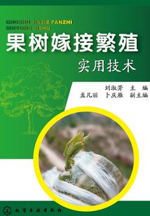 无双倾城绝恋