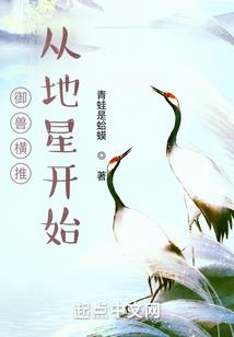 幽兰情许琛