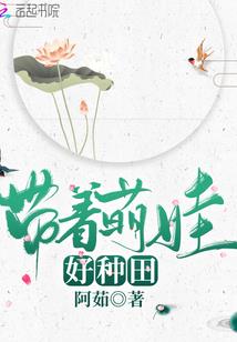 第三个宿主