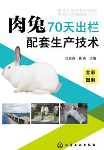 寻神问命