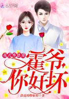 凤起苍茫