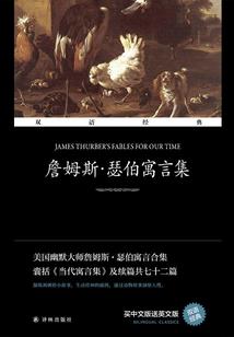 跌宕商海