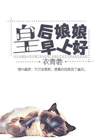 元素大陆之双子问世