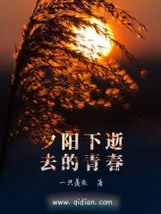 我的万能火种