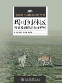 那些曾爱过的时光