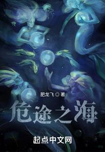刺刀回忆录