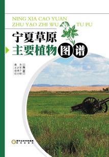 致那年春天的我们