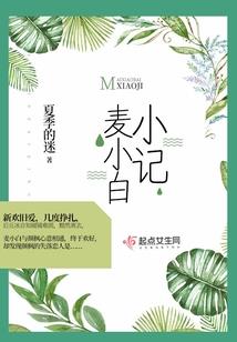 明月几时有之清风录