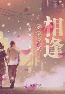 次元征战者