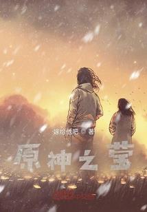 偷心者日记