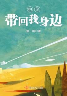 地震遗址的猫