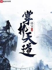 剑雨琴风