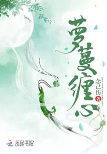 核心领域