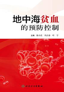 女神的终极护卫