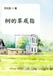 云虹之巅