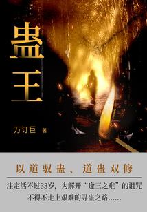 魔幻车神之星座车神