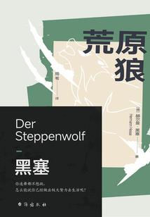 穿越之我本汉子